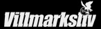 DetNye-logo